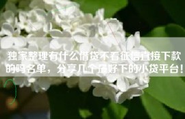 独家整理有什么借贷不看征信直接下款的吗名单，分享几个最好下的小贷平台！