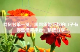 网贷名单一览，黑网贷能下款的口子有哪些借款平台，精选分享
