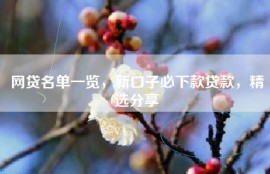 网贷名单一览，新口子必下款贷款，精选分享
