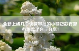 全新上线几个快速审批的小额贷款有哪些借款平台，分享！