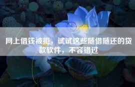 网上借钱被拒，试试这些随借随还的贷款软件，不容错过