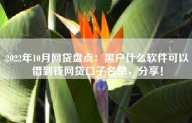 2022年10月网贷盘点：黑户什么软件可以借到钱网贷口子名单，分享！