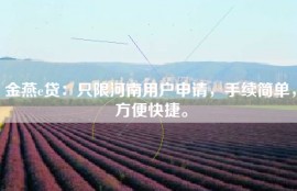 金燕e贷：只限河南用户申请，手续简单，方便快捷。