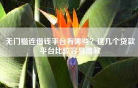 无门槛连借钱平台有哪些？这几个贷款平台比较容易借款
