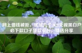 网上借钱被拒，试试几个2022无视黑白户必下款口子贷款平台，精选分享