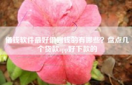 借钱软件最好借到钱的有哪些？盘点几个贷款app好下款的