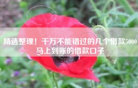 精选整理！千万不能错过的几个借款5000马上到账的借款口子