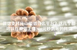 微信支付分650能借什么平台？这几个都可以在微信上借2000元秒到账的网贷