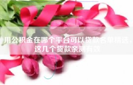 用公积金在哪个平台可以贷款名单精选，这几个贷款亲测有效