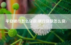 平安银行怎么贷款(银行贷款怎么贷)