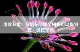 借款分享！征信花了哪个网贷可以借到钱，通过率高