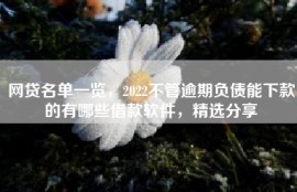 网贷名单一览，2022不管逾期负债能下款的有哪些借款软件，精选分享