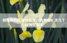 额度高的正规网贷平台有哪些？这几个能满足需求