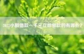 2022小额借款一千元立即放款的有哪些？