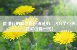 能借钱的软件直接通过的，这几个小额贷款值得一试！