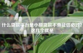 什么贷款平台是小额贷款不查征信必过？这几个就是