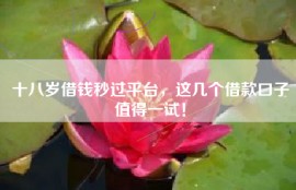 十八岁借钱秒过平台，这几个借款口子值得一试！