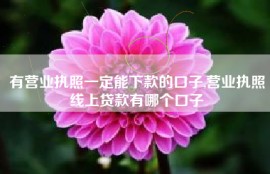 有营业执照一定能下款的口子,营业执照线上贷款有哪个口子