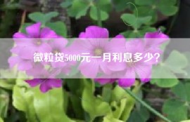 微粒贷5000元一月利息多少？