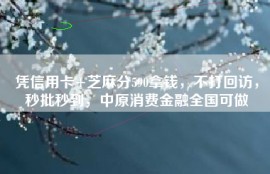 凭信用卡+芝麻分590拿钱，不打回访，秒批秒到，中原消费金融全国可做