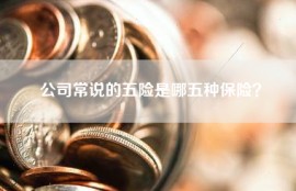 公司常说的五险是哪五种保险？