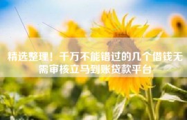 精选整理！千万不能错过的几个借钱无需审核立马到账贷款平台