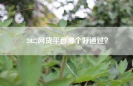 2022网贷平台哪个好通过？