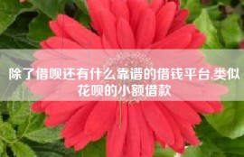 除了借呗还有什么靠谱的借钱平台,类似花呗的小额借款