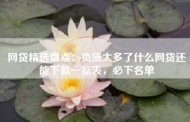 网贷精选盘点：负债太多了什么网贷还能下款一览表，必下名单