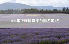 2022年正规网贷平台排名前1名