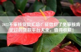 2022不审核贷款汇总：征信烂了免审核肯定过的贷款平台大全，值得收藏！
