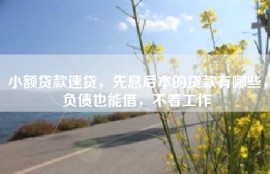 小额贷款速贷，先息后本的贷款有哪些，负债也能借，不看工作