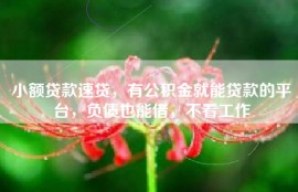 小额贷款速贷，有公积金就能贷款的平台，负债也能借，不看工作