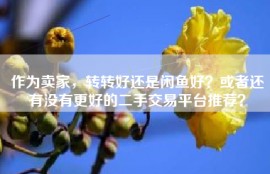 作为卖家，转转好还是闲鱼好？或者还有没有更好的二手交易平台推荐？