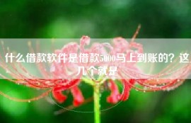 什么借款软件是借款5000马上到账的？这几个就是