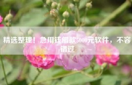 精选整理！急用钱借款5000元软件，不容错过