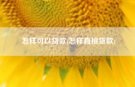 怎样可以贷款(怎样直接贷款)