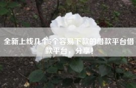 全新上线几个5个容易下款的借款平台借款平台，分享！