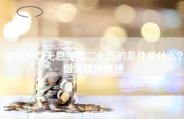 农村户口无息贷款二十万的条件是什么？借贷程序概述