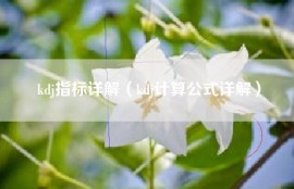 kdj指标详解（kdj计算公式详解）