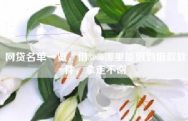 网贷名单一览，借3000哪里能借到借款软件，拿走不谢