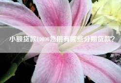 小额贷款10000急用有哪些分期贷款？