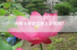 分期乐爱建信托上征信吗？