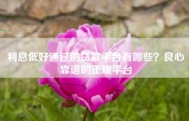 利息低好通过的贷款平台有哪些？良心靠谱的正规平台