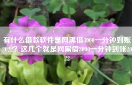 有什么借款软件是网黑借3000一分钟到账2022？这几个就是网黑借3000一分钟到账2022
