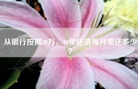 从银行按揭30万，10年还清每月需还多少？