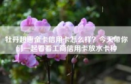 牡丹超惠金卡信用卡怎么样？今天带你们一起看看工商信用卡放水卡种