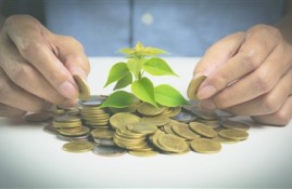 哪些是黑口子必下款app2024？分享几个必下款app