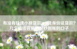 有没有快速小额贷款3000凭身份证贷款？几个借钱容易通过秒到账的口子