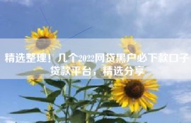 精选整理！几个2022网贷黑户必下款口子贷款平台，精选分享